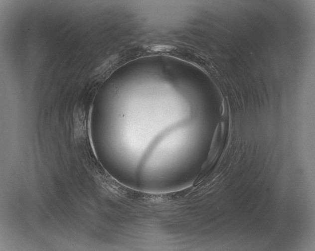 X0000082161443200701191229