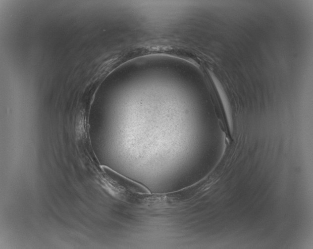 X0000082161444200701191229