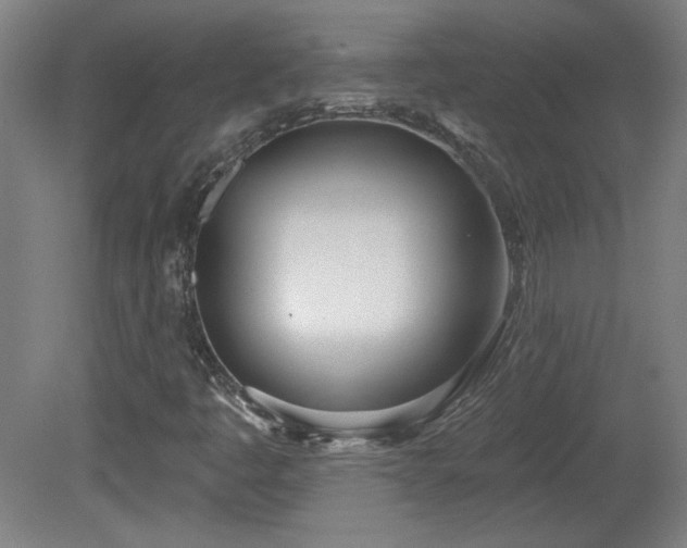 X0000082161445200701191229
