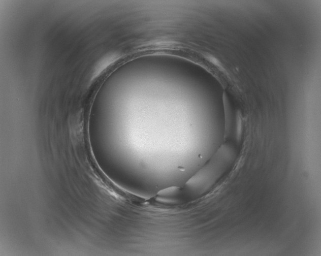 X0000082161450200701191229