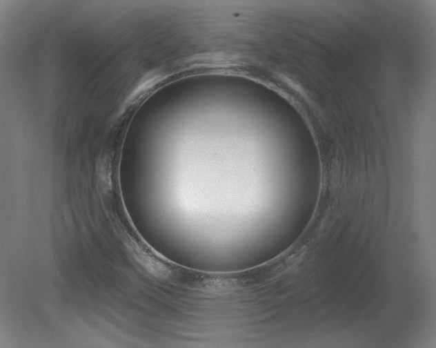 X0000082161451200701191229