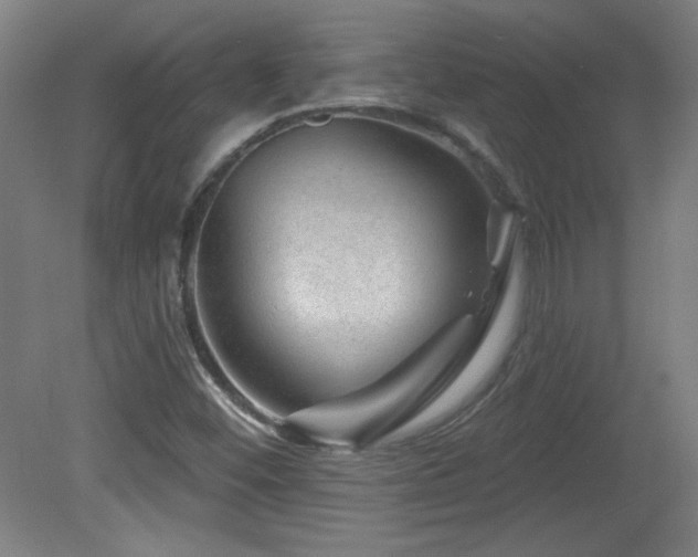 X0000082161452200701191229
