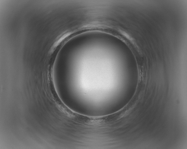 X0000082161453200701191229