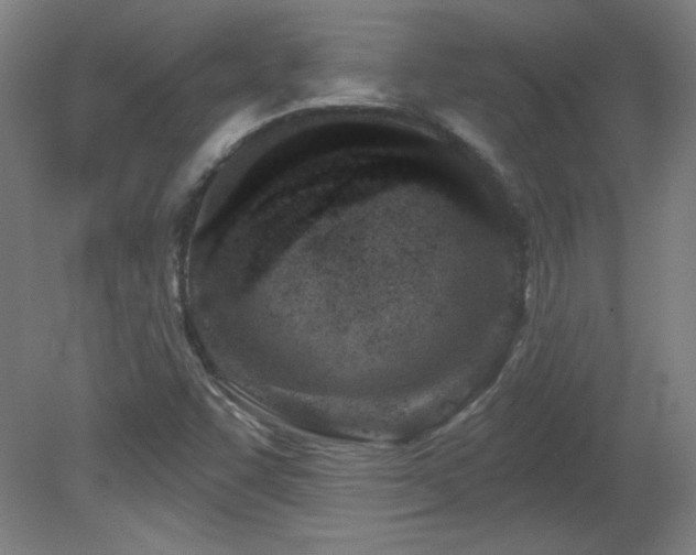 X0000082161455200701191229