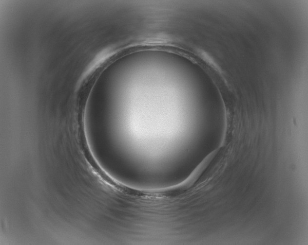 X0000082161456200701191229