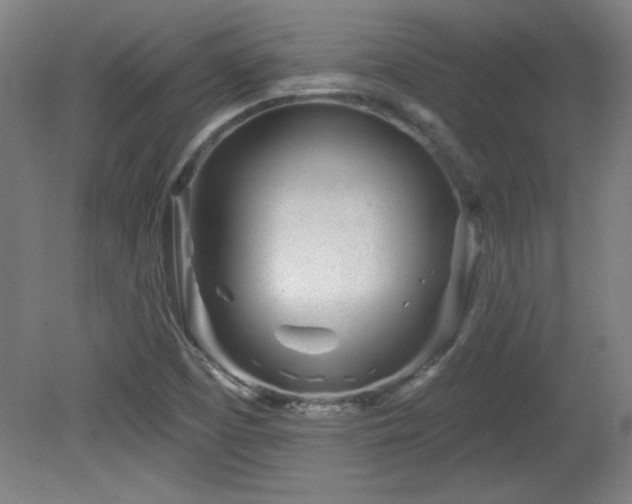 X0000082161457200701191229