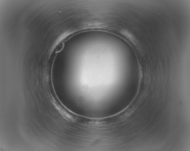 X0000082161458200701191229