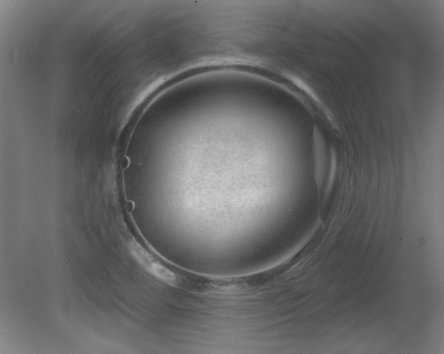 X0000082161460200701191229