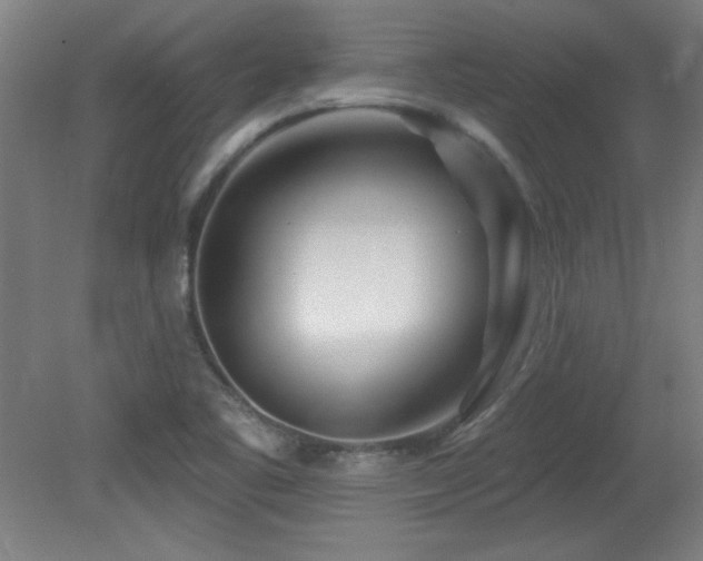 X0000082161461200701191229