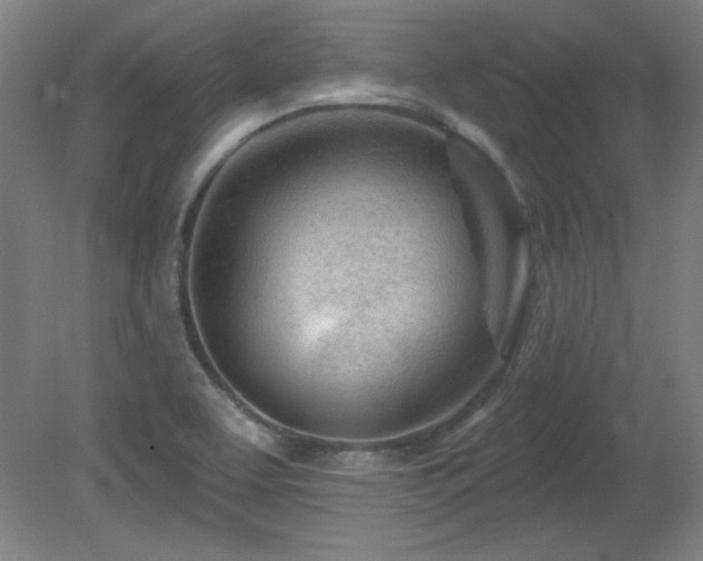 X0000082161463200701191229