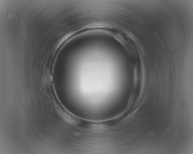 X0000082161465200701191229