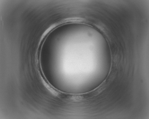 X0000082161466200701191229