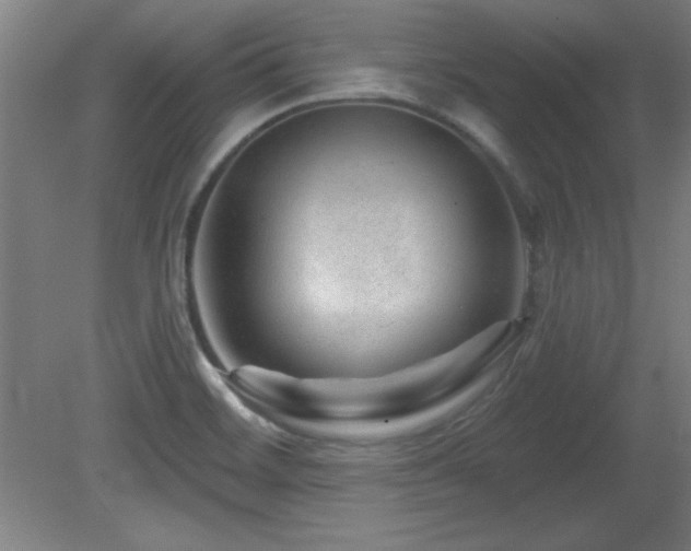 X0000082161468200701191229