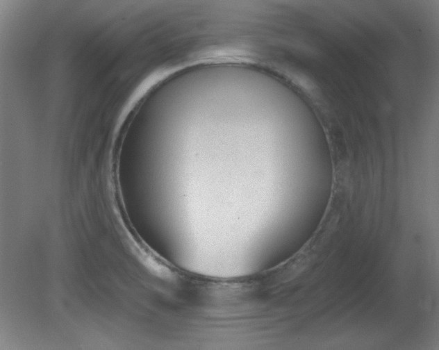 X0000082161470200701191229