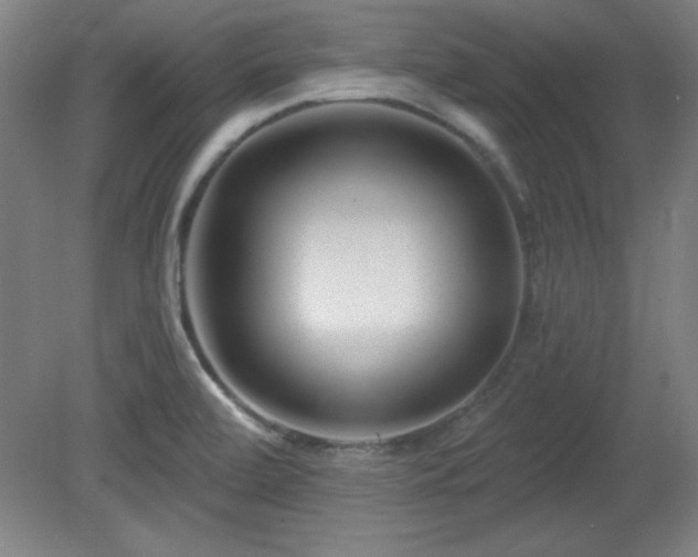X0000082161472200701191229