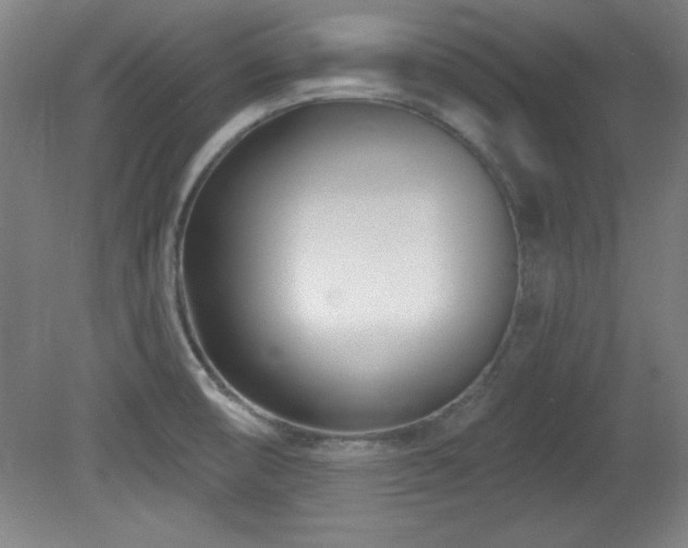 X0000082161474200701191229