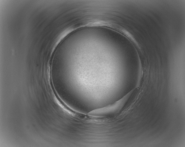 X0000082161476200701191229