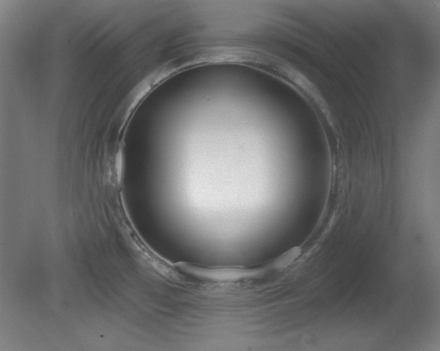 X0000082161481200701191229
