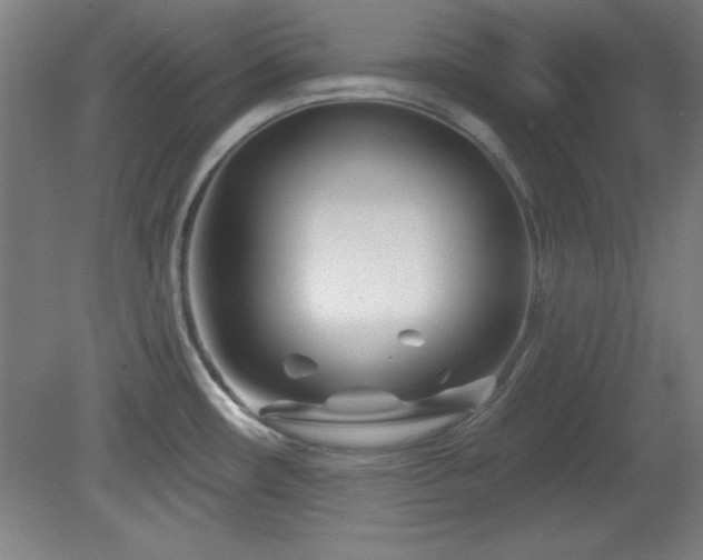 X0000082161482200701191229