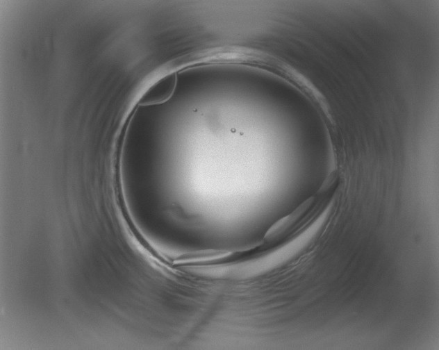 X0000082161483200701191229