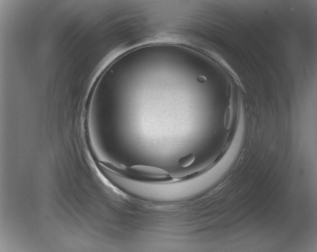 X0000082161484200701191228
