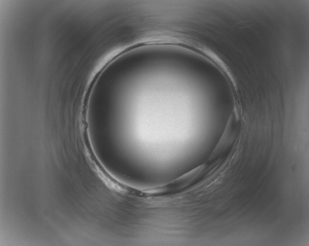 X0000082161485200701191228