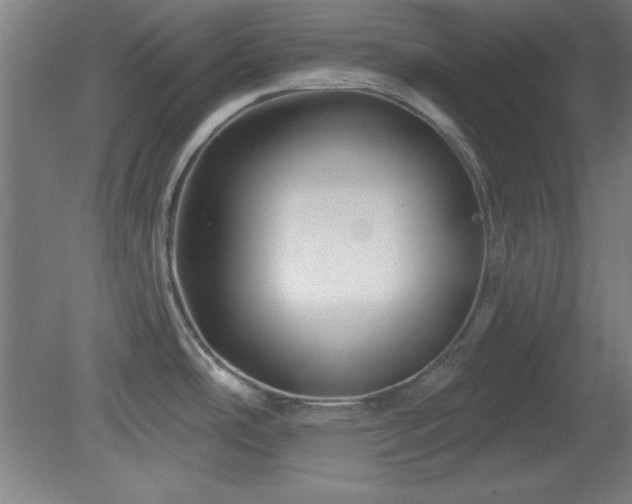 X0000082161486200701191228