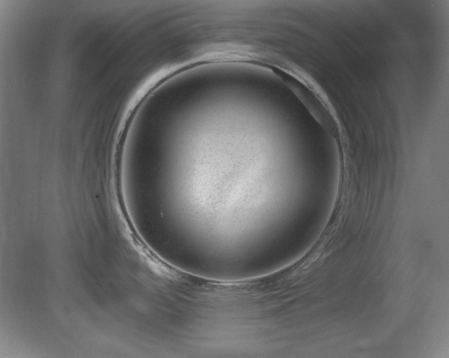 X0000082161488200701191228
