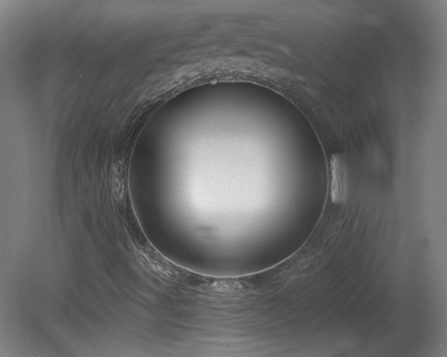 X0000082161491200701191228