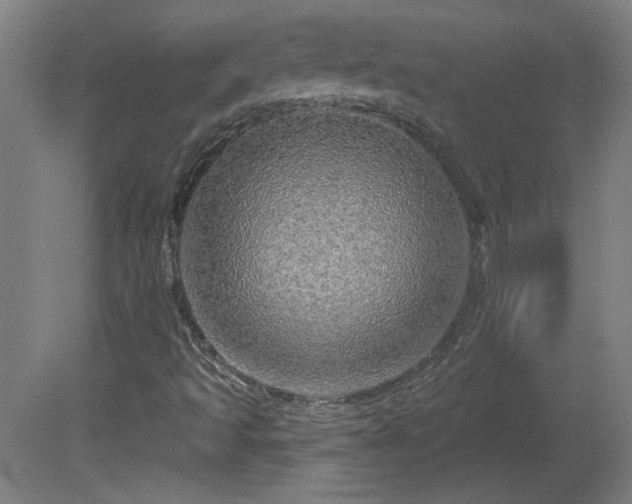 X0000082161493200701191228