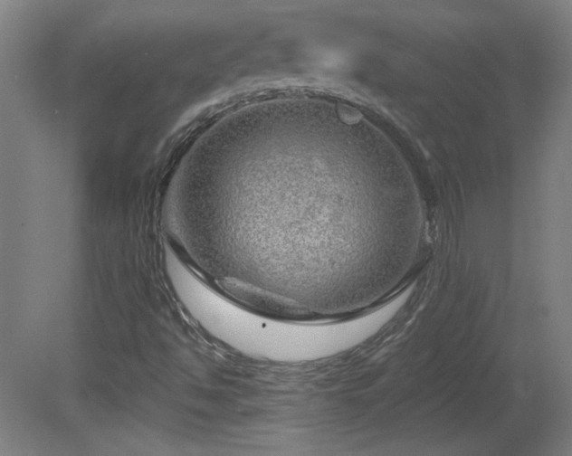 X0000082161494200701191228