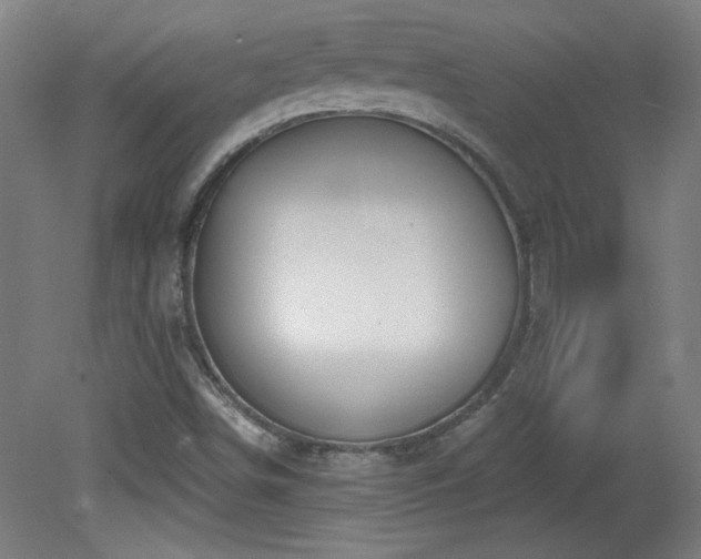 X0000082161498200701191228