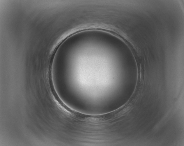 X0000082161500200701191228