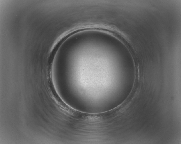 X0000082161501200701191228