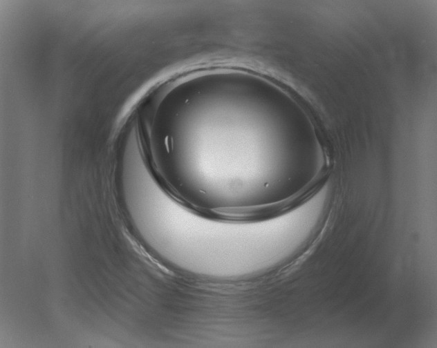 X0000082161502200701191228