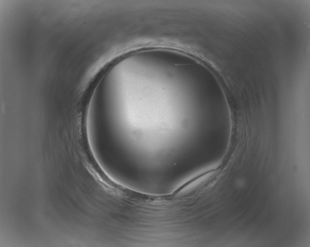 X0000082161503200701191228