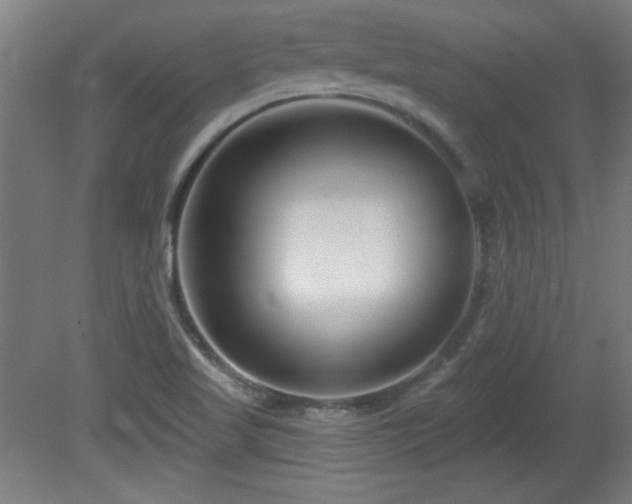 X0000082161509200701191228