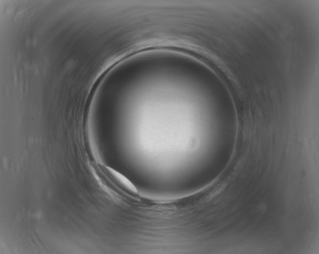 X0000082161513200701191228