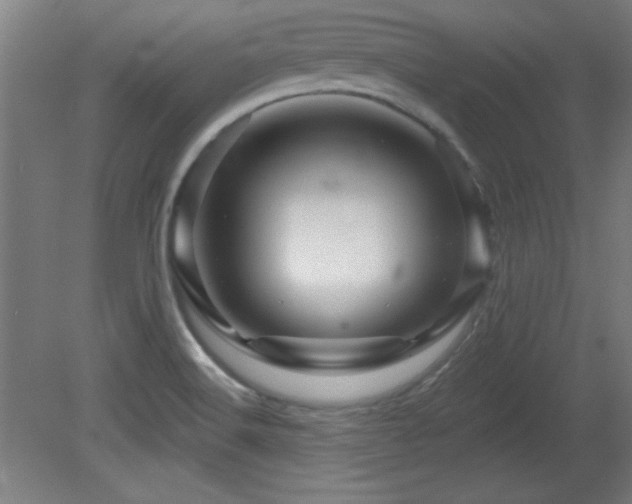X0000082161516200701191228
