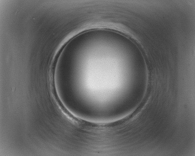 X0000082161517200701191228
