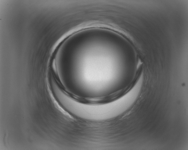 X0000082161518200701191228