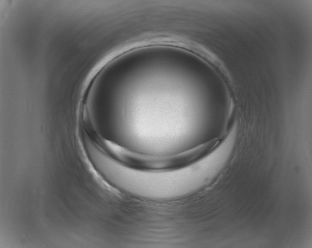 X0000082161520200701191228