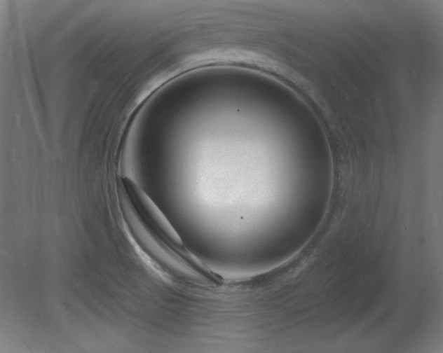 X0000082161521200701191228