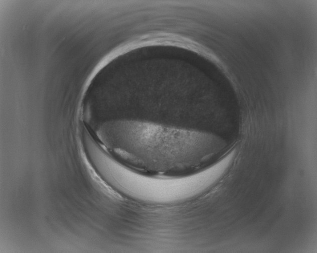 X0000082161522200701191228