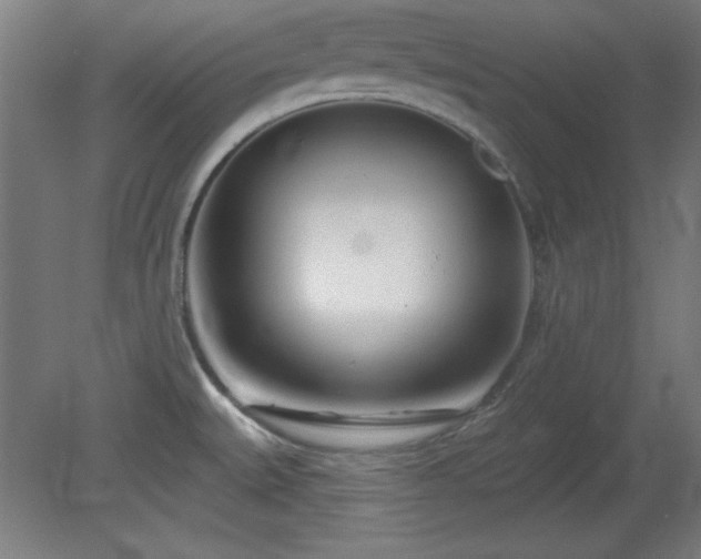 X0000082161527200701191228