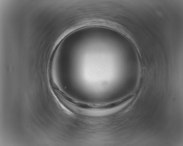 X0000082161533200701191228