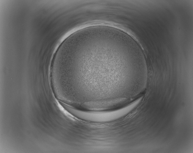 X0000082161535200701191228