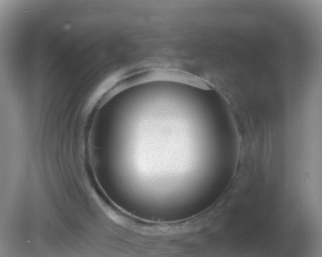 X0000082160005200701262346