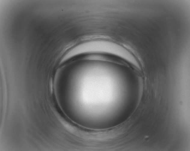 X0000082160013200701262346