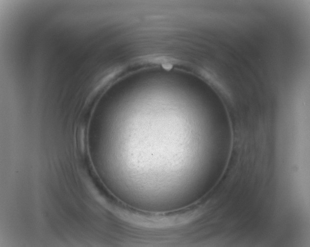 X0000082160014200701262346
